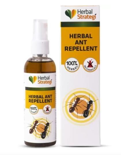 HERBAL STRATEGI Ant Repellent Spray Non-Toxic 100% Herbal Stain Free  (100 ml) (Pack of 2)