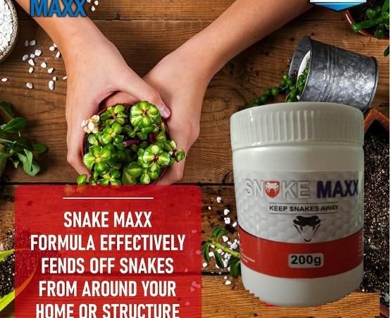 Snake Maxx Non-Toxic Biodegradable Pet-Friendly Snake Repellent Powder 200g (Pack of 2)