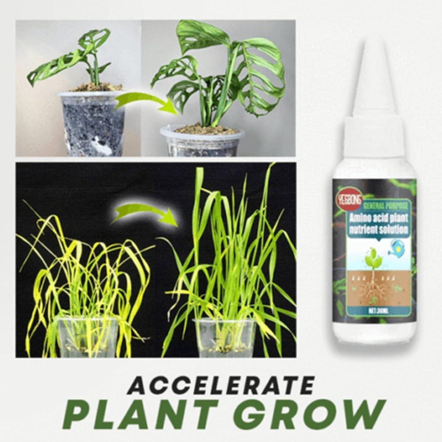 Magic Plant Nutrient Solution, Hydroponic Liquid Plant Fertilizer Nutrient Solution Seedling Recovery Root Growth (30ml)(Pack Of 1)