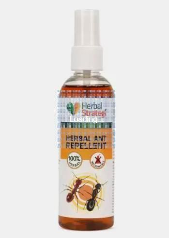 HERBAL STRATEGI Ant Repellent Spray Non-Toxic 100% Herbal Stain Free  (100 ml) (Pack of 2)