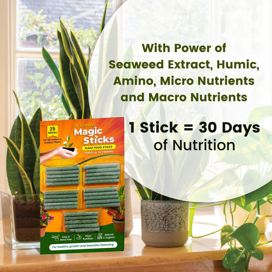 Magic Plant Sticks (pack of 2)