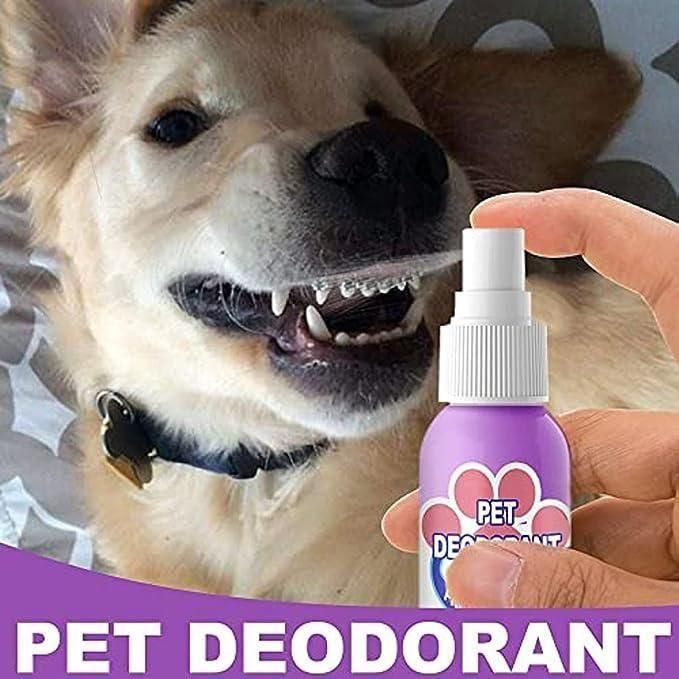 Oral Spray For Dogs & Cats (Pack of 2) - Deal IND.